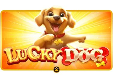 Big Bass Bonanza bonus round free spins on joker king Big Bass Bonanza bonus round free spins on joker king